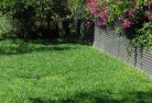 Commodinelawn-mowing-3.jpg; ?>